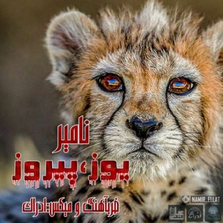 Namir – Yooz & Pirooz